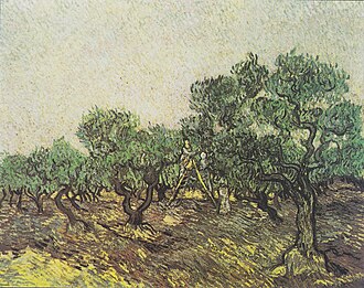 Olive Picking