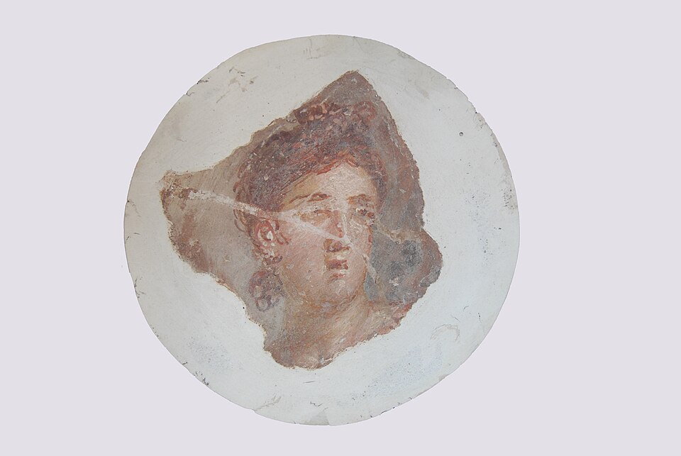 Musée Saint-Raymond, 25541