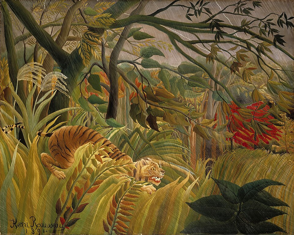 热带风暴中的虎